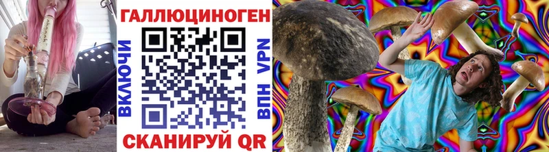 Псилоцибиновые грибы Cubensis  что такое наркотик  Комсомольск-на-Амуре 