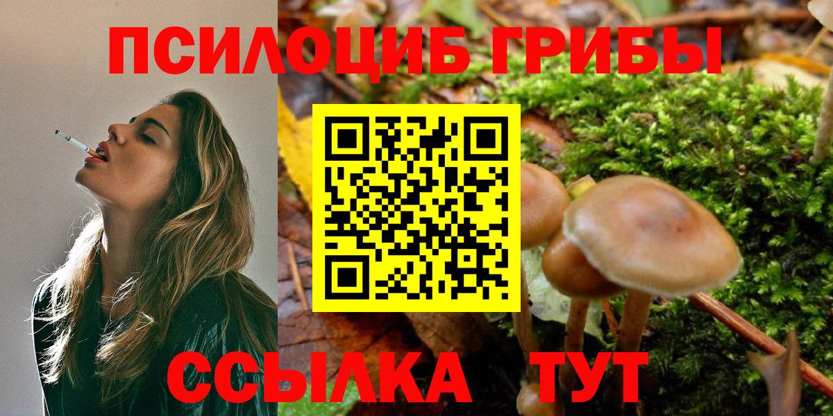 Комсомольск-на-Амуре  Галлюциногенные грибы Cubensis  как найти   Вход с VPN 