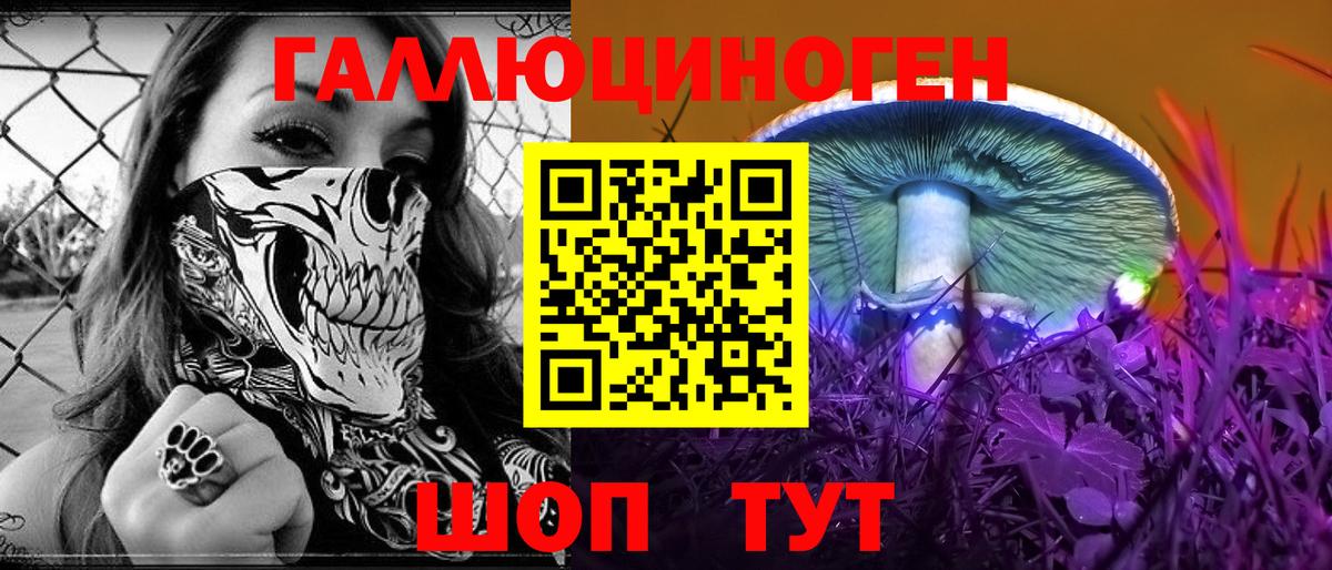 Галлюциногенные грибы Psilocybine cubensis Комсомольск-на-Амуре